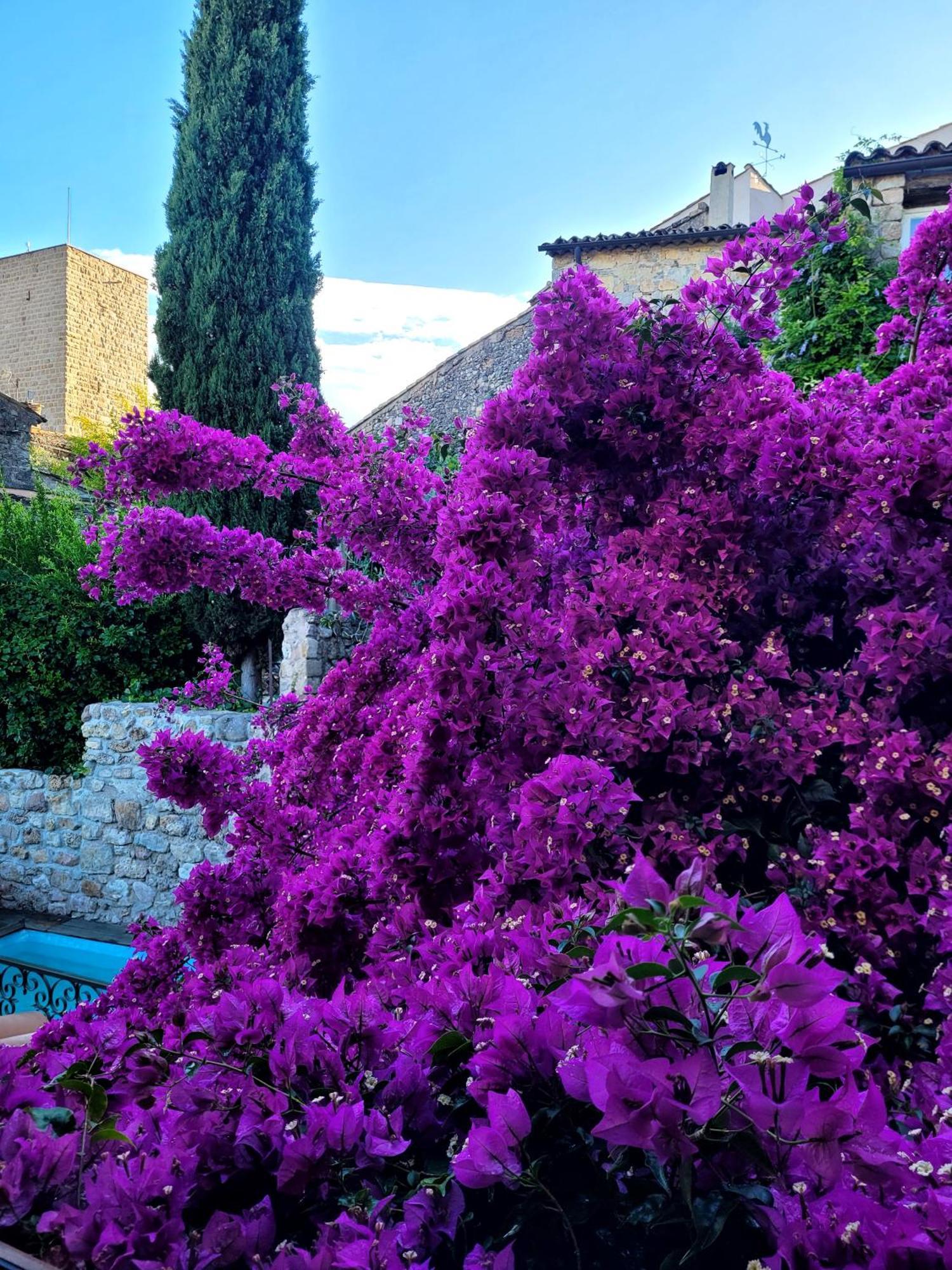 Villa Arca Les Arcs-sur-Argens Экстерьер фото