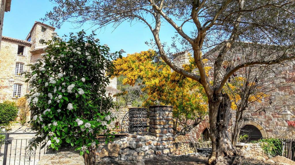 Villa Arca Les Arcs-sur-Argens Экстерьер фото